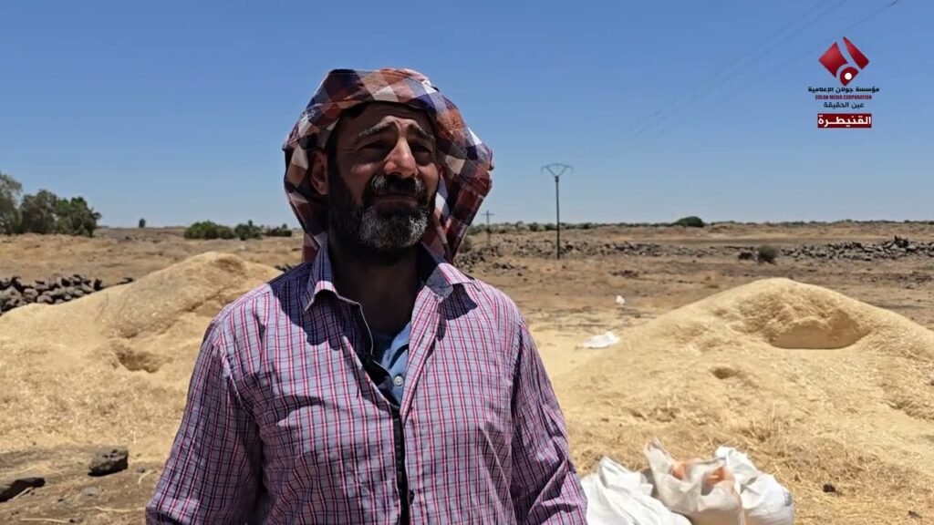 تدني نسب إنتاج مادة القمح في محافظة القنيطرة