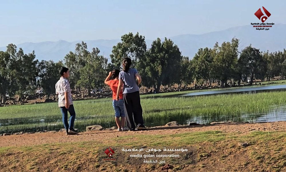 القنيطرة.. المحافظة المنسية بين الحرب والإهمال