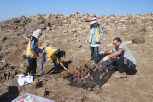 العثور على رفات بشرية في ريف درعا الغربي