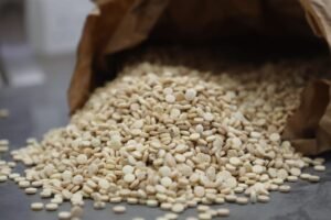 الأمم المتحدة: إنهاء التصنيع الصناعي للكبتاغون في سوريا