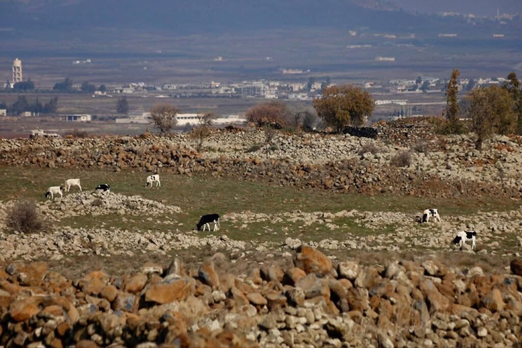 استمرار للمنخفض الجوي وارتفاع نسبة الهطولات المطرية
