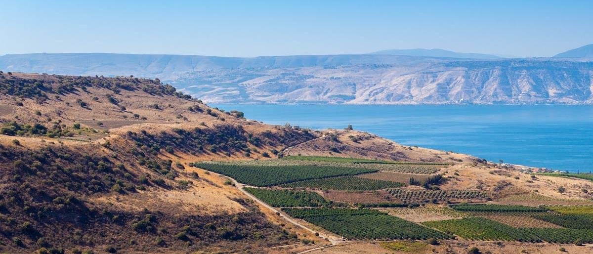 بكرا بنعاود.. حين تصبح الأغنية موطناً مؤقتاً