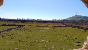 محاصيل القنيطرة تتضرر بعد أسبوع من عمليات الرش الإسرائيلية