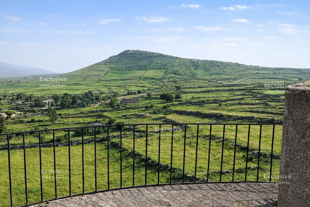 جيش الاحتلال يعتدي على طفلين قرب منازل مدنيين في بريقة ويسرق (خروفاً)