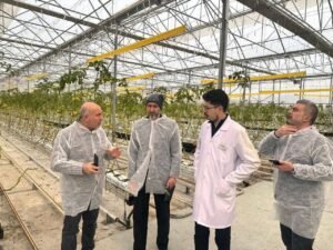 ملامح التحول في القطاع الزراعي السوري (2026).. من الإغاثة الطارئة إلى الاستدامة الهيكلية