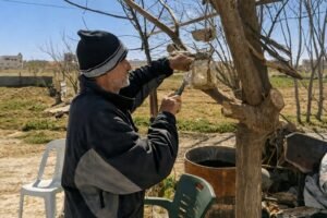 القابون بعد الحرب: ألفاظ الخوف والحرمان تصدح بين الأنقاض