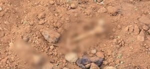 اكتشاف مقبرة جماعية قرب موقع عسكري سابق بريف درعا