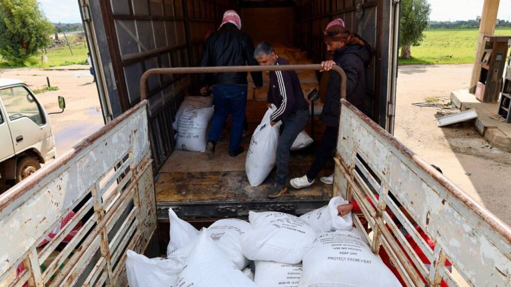 استمرار توزيع السماد لمزارعي القمح في السويداء