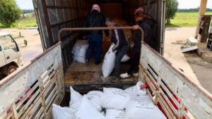 استمرار توزيع السماد لمزارعي القمح في السويداء