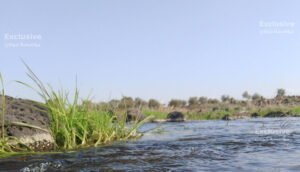 القنيطرة… كنز طبيعي ينتظر الاكتشاف