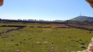 قوات الاحتلال الإسرائيلي تحتجز راعيي أغنام في القنيطرة وتواصل انتهاكاتها في الجنوب السوري