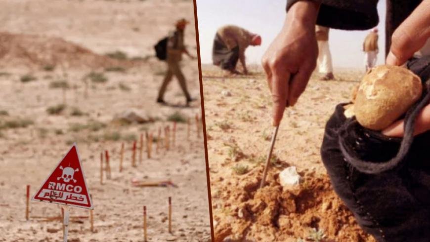 أطفال يعبثون بالألغام في ريف الرقة.. خطر قاتل يتفاقم مع موسم الكمأة