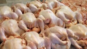 ارتفاع أسعار الفروج في سوريا بعد خسائر كبيرة للمربين… وتوقعات بانخفاضها تدريجياً