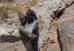 مدنيون يعثرون على مقبرة جماعية جديدة في قارة بريف دمشق