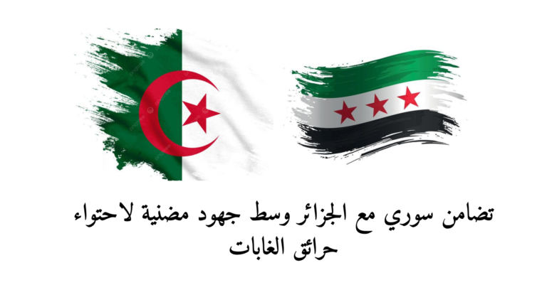 تضامن سوري مع الجزائر وسط جهود مضنية لاحتواء حرائق الغابات