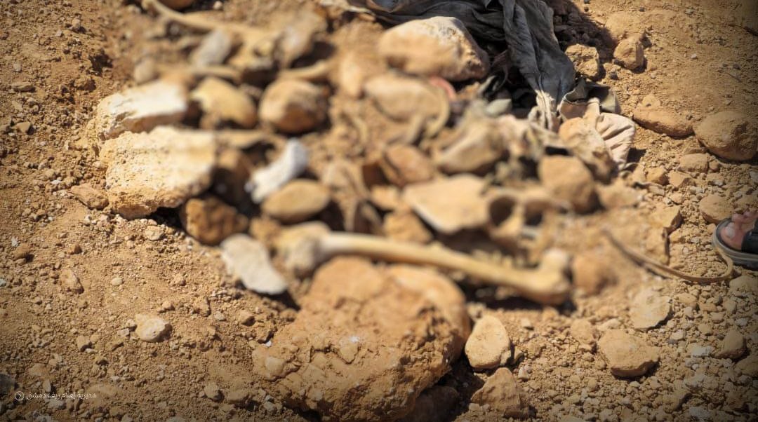 رفات بالقرب من قطنا… مقبرة جماعية تُفتح مجدداً على ملف المفقودين في سوريا