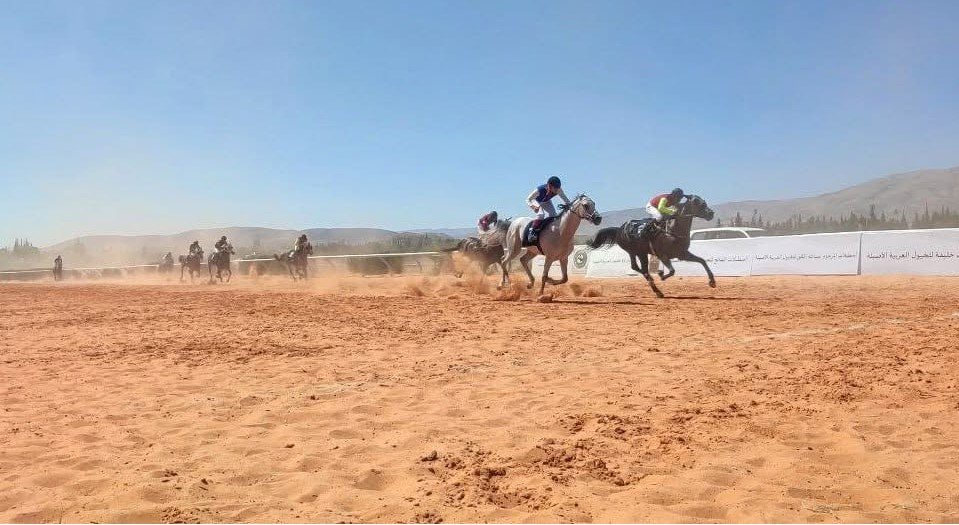 سباق دوري ثامن للخيول العربية الأصيلة في ريف دمشق