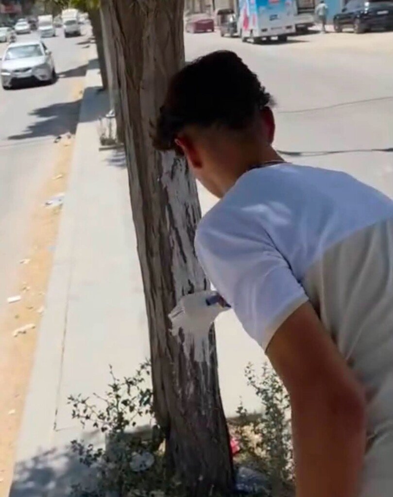 عقوبة بديلة تُحوّل مخالفة مرورية إلى عمل خدمي في النبك
